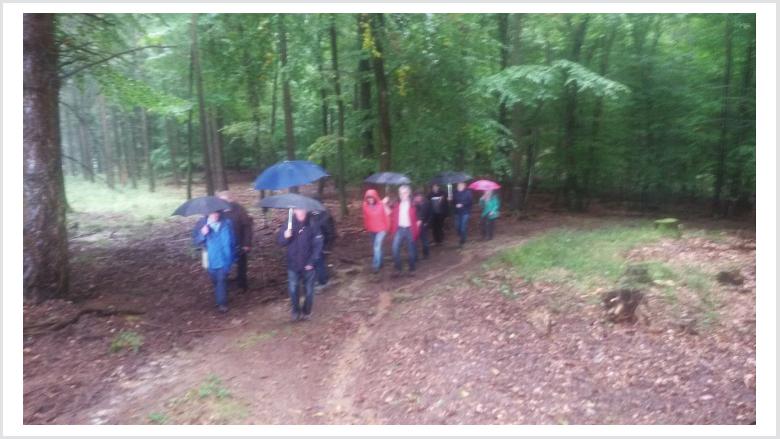 Herbstwanderung der CDU Waldesch Herbstwanderung der CDU Waldesch