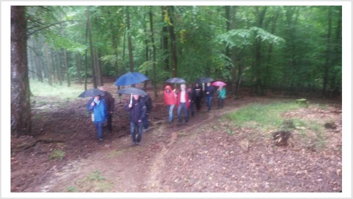 Herbstwanderung der CDU Waldesch